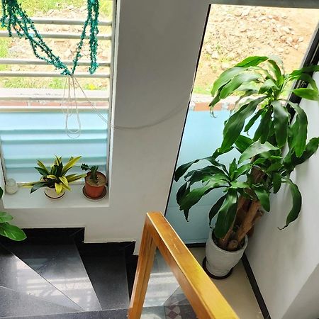 Sena Home 3#1-Near Danang Dragon Bridge-Han River 外观 照片