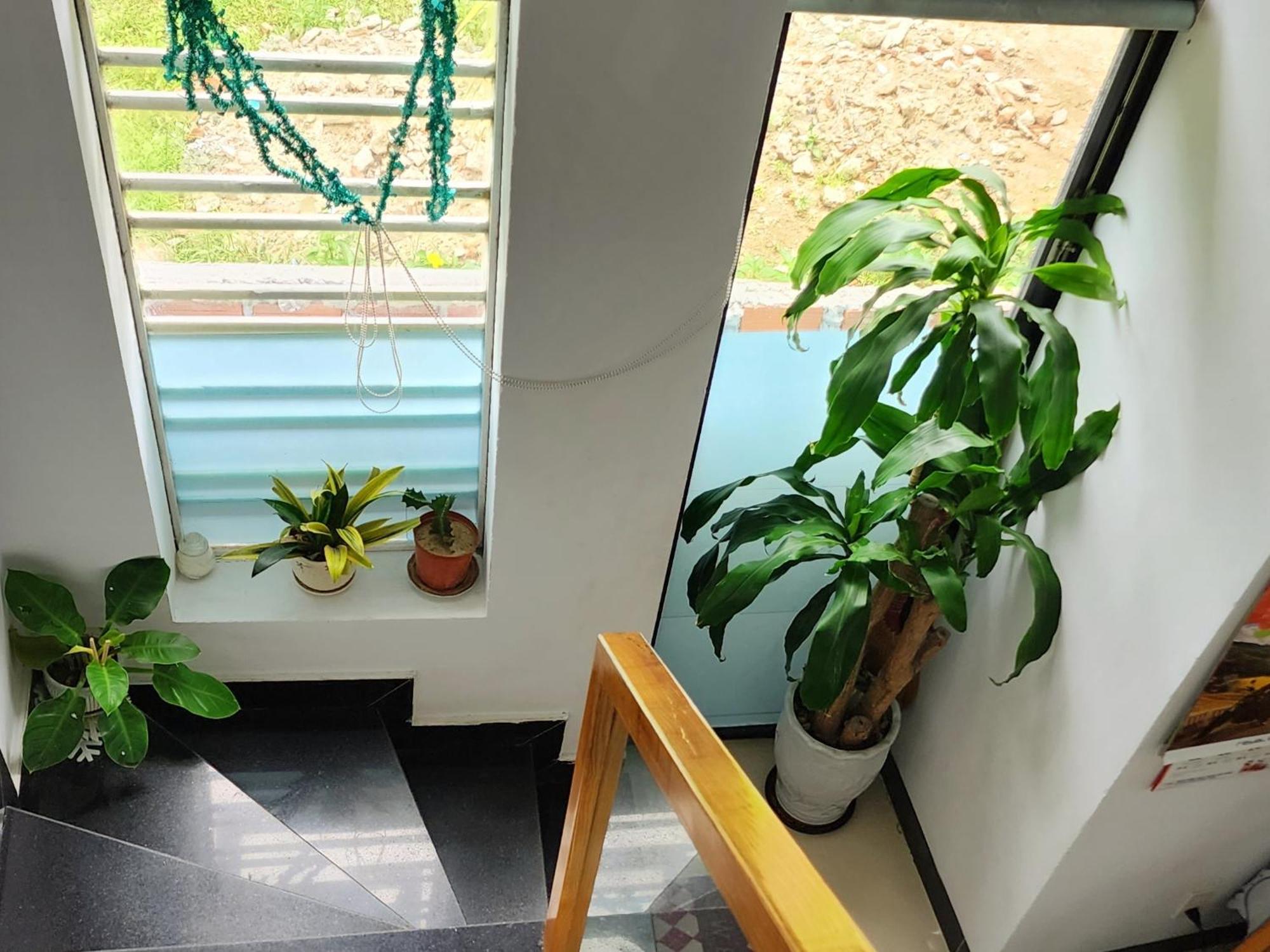 Sena Home 3#1-Near Danang Dragon Bridge-Han River 外观 照片