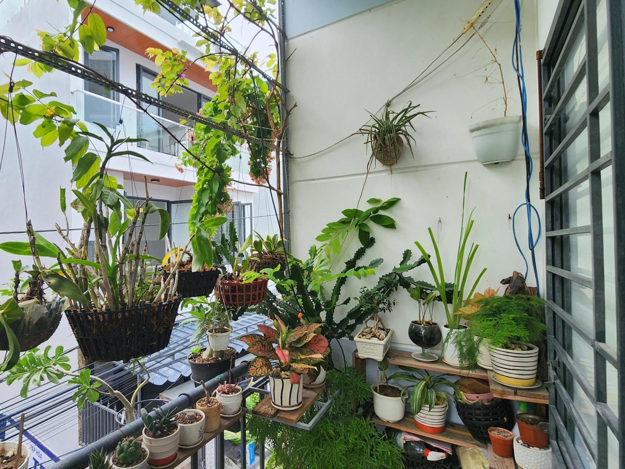Sena Home 3#1-Near Danang Dragon Bridge-Han River 外观 照片