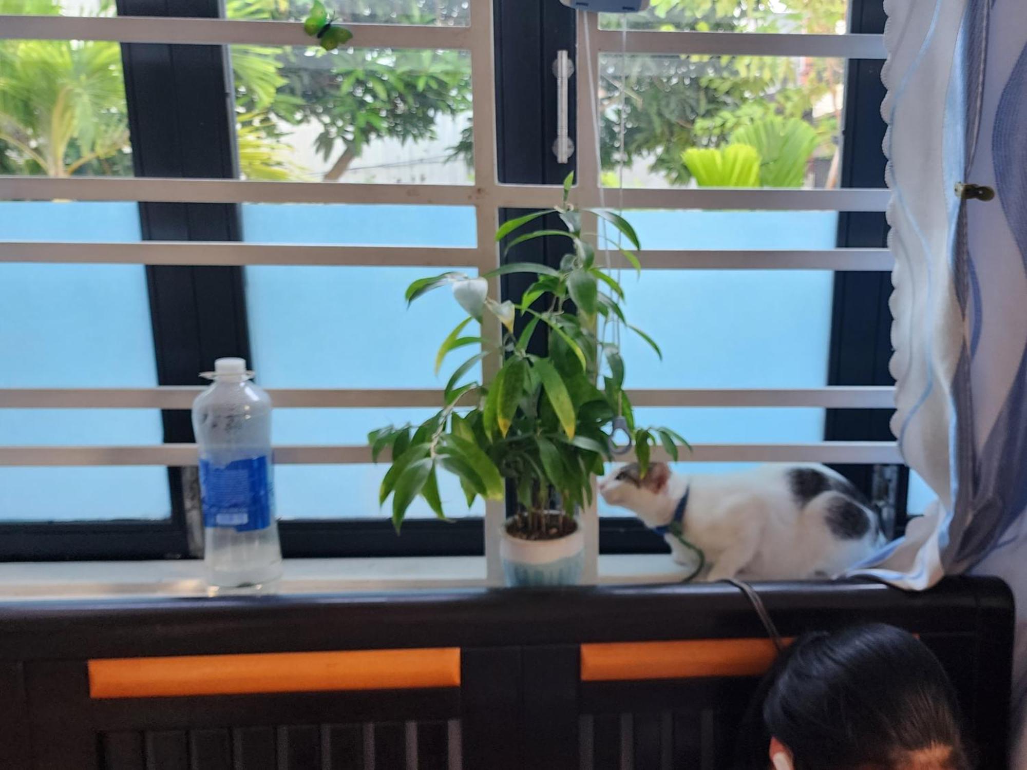 Sena Home 3#1-Near Danang Dragon Bridge-Han River 外观 照片